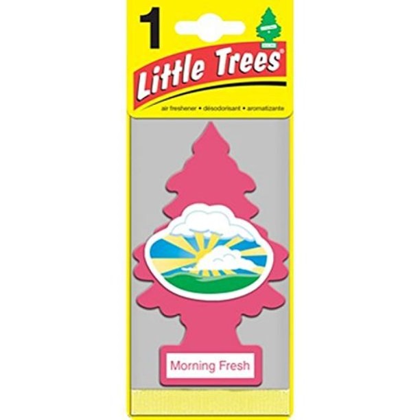 LITTLE TREES MORNING FRESH 24 CT